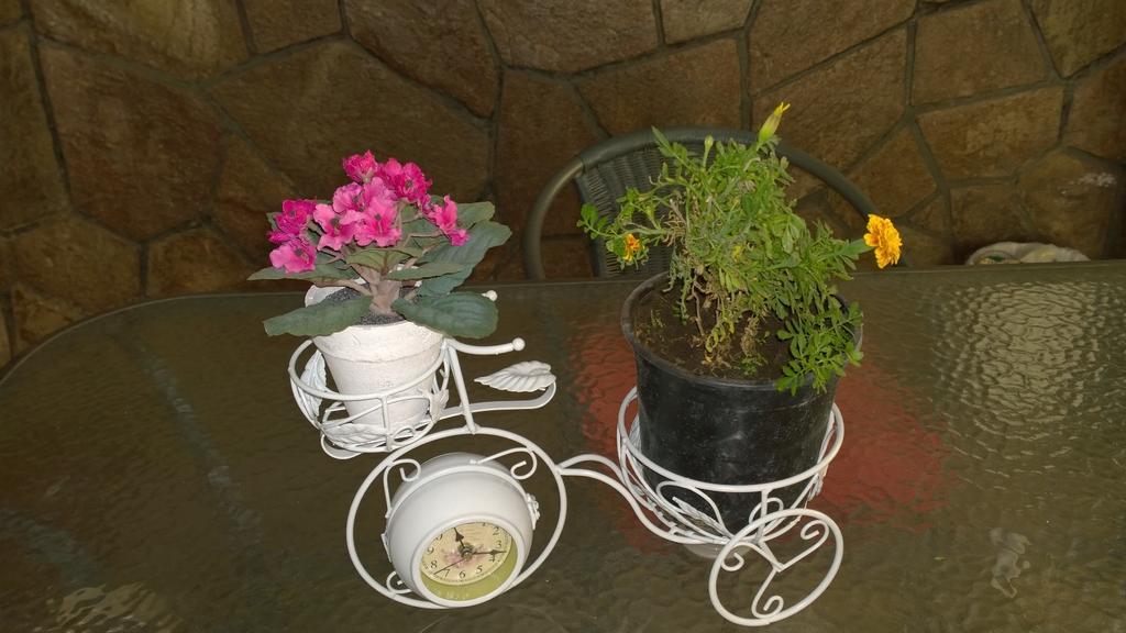 Bed & Breakfast Blumen Haus Santiago Exterior photo
